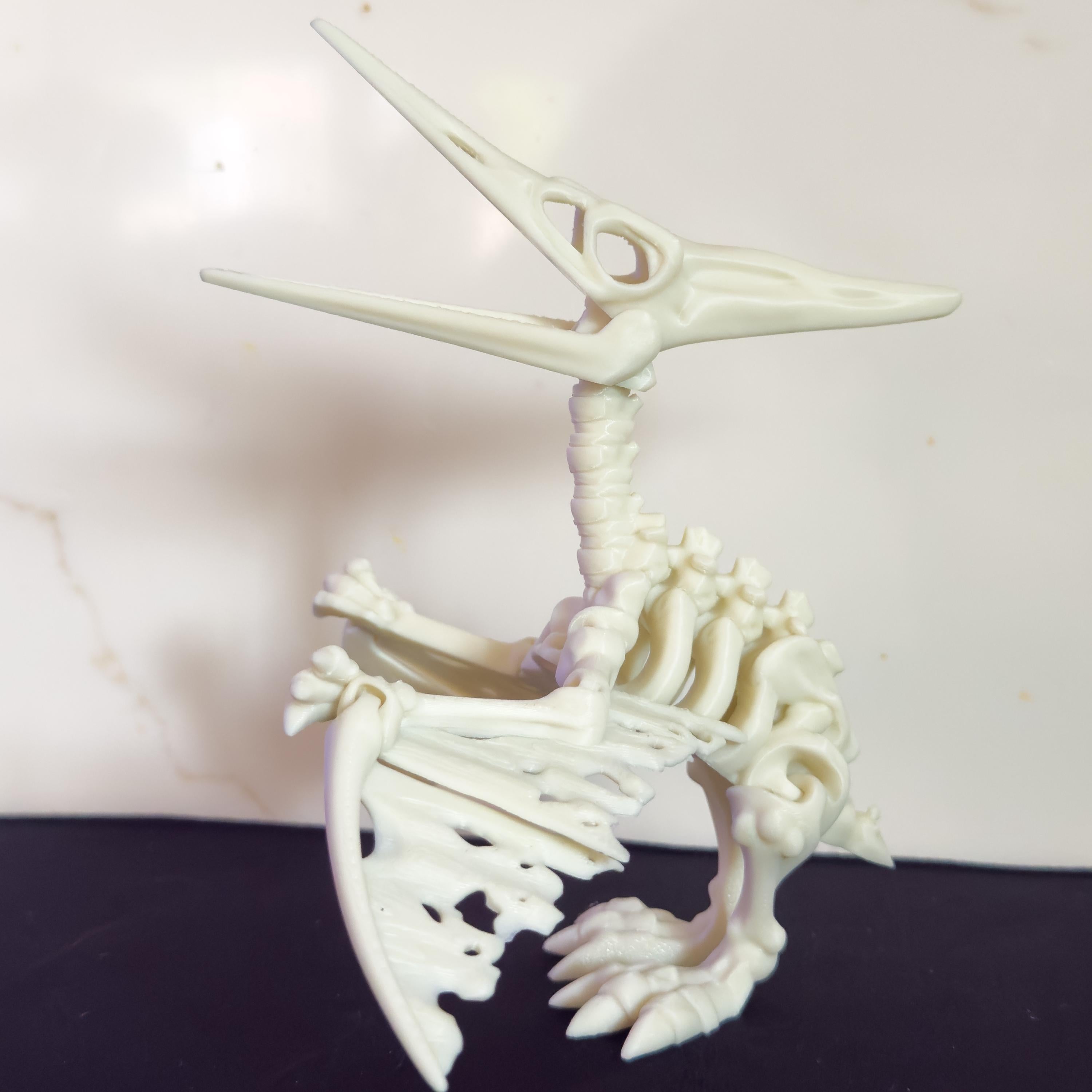 Articulated Pteranodon Pterodactyl Skeleton Fossil Toy