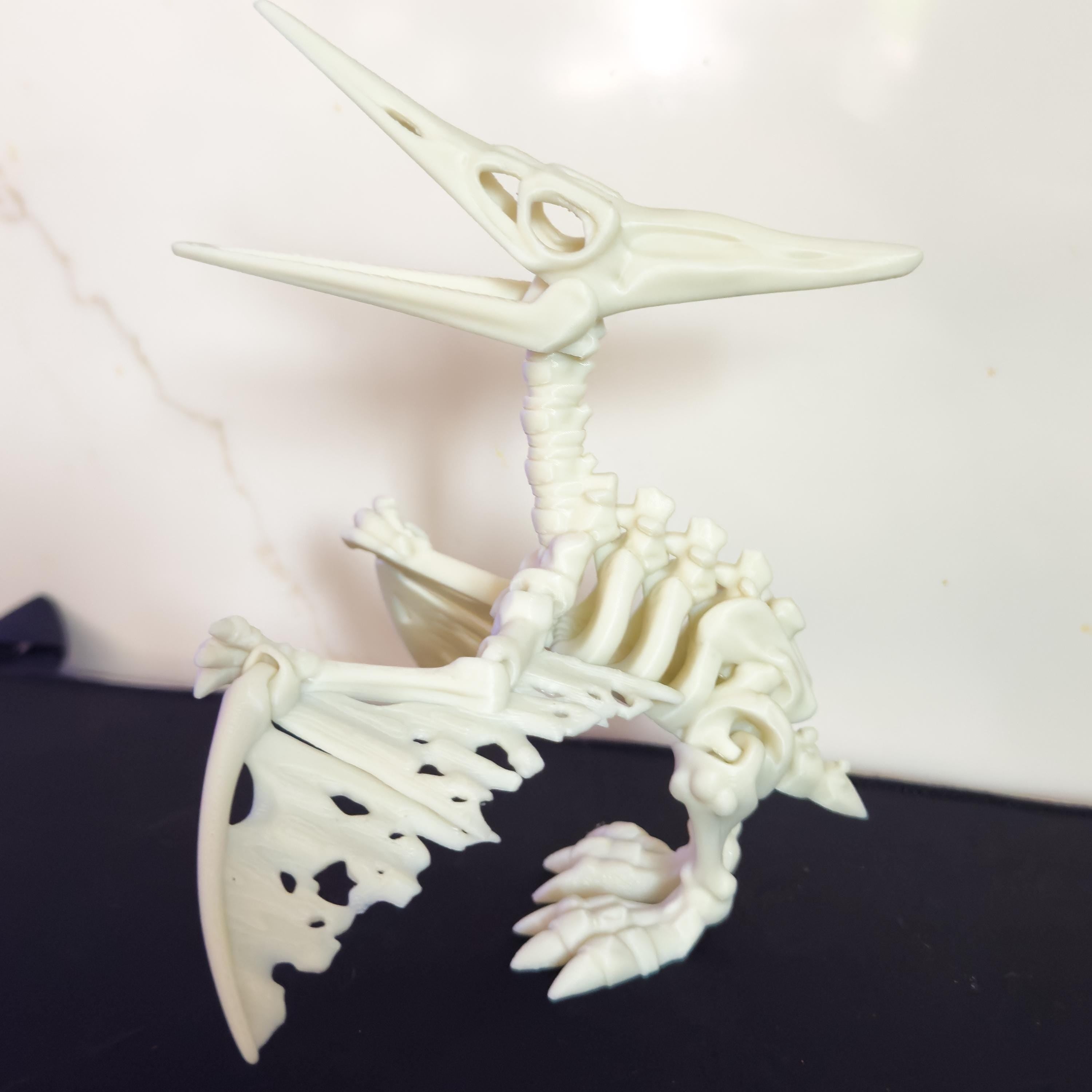 Articulated Pteranodon Pterodactyl Skeleton Fossil Toy