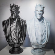 Darth Maul Bust