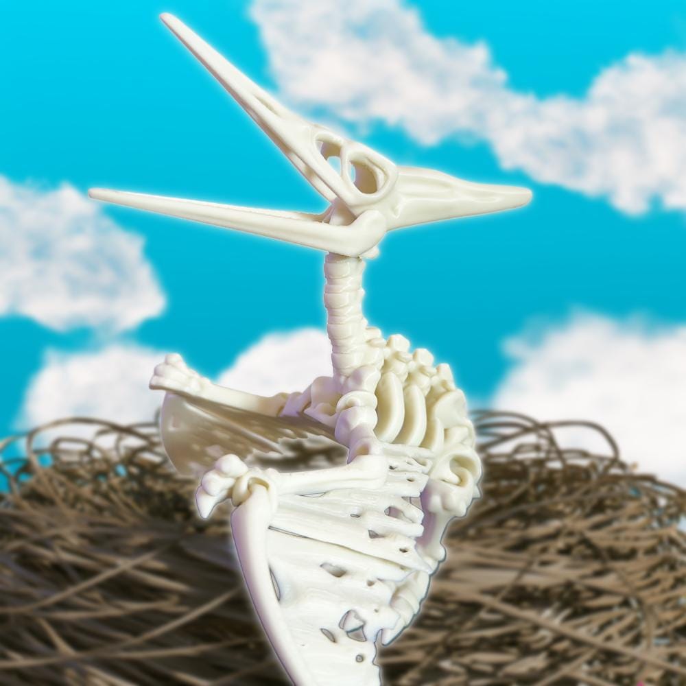 Articulated Pteranodon Pterodactyl Skeleton Fossil Toy