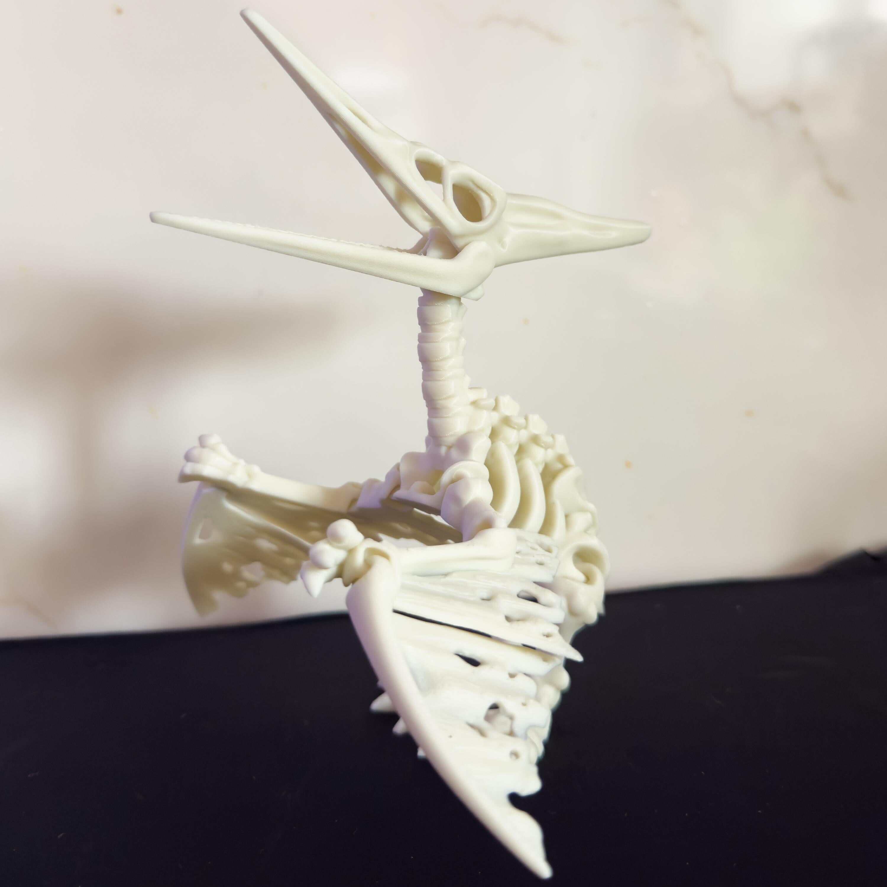 Articulated Pteranodon Pterodactyl Skeleton Fossil Toy